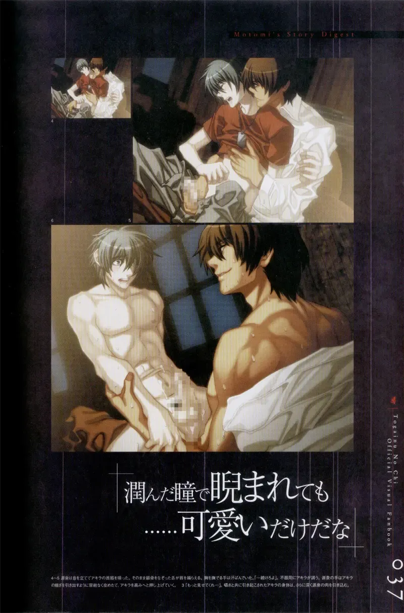 Togainu no chi -  Official Visual Fan Book Fhentai - Page 38
