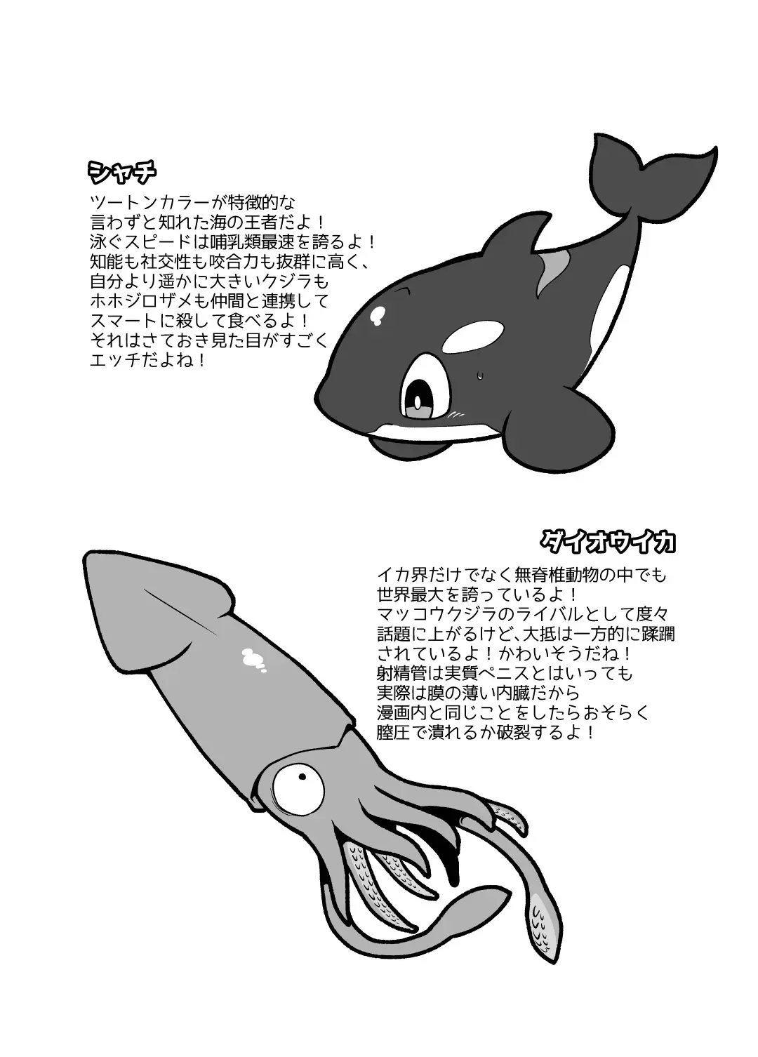 [Kageyama] Umi no Ikimono Zukan Fhentai - Page 23