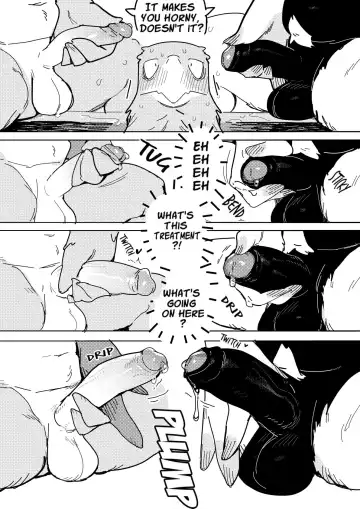 [Inax] White-Tailed Eagle and Owls Fhentai.net - Page 9