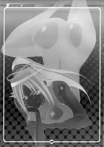 [Haikawa Hemlen] BRICOLA Fhentai - Page 25