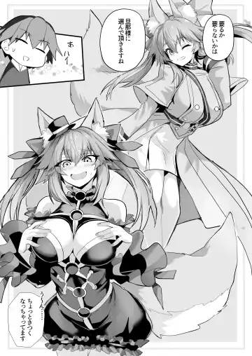 [Wise Speak] Tamamo-san Shichihenge☆ Fhentai.net - Page 4