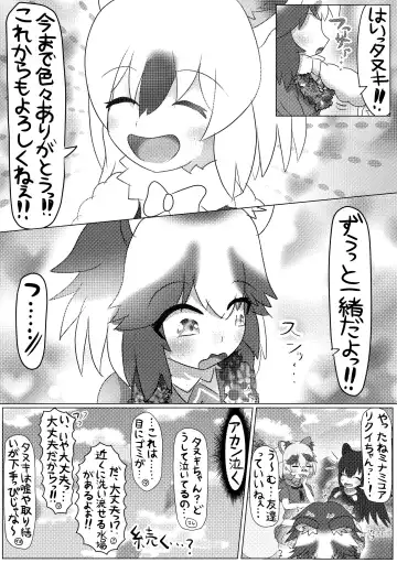 [Mepikari - Welt] Boku mo Friend ~Kimi wa Kaeru Basho~ Kemono Friends TSF Goudou 3 Fhentai - Page 26