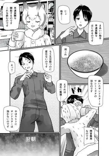 [Mepikari - Welt] Boku mo Friend ~Kimi wa Kaeru Basho~ Kemono Friends TSF Goudou 3 Fhentai - Page 82