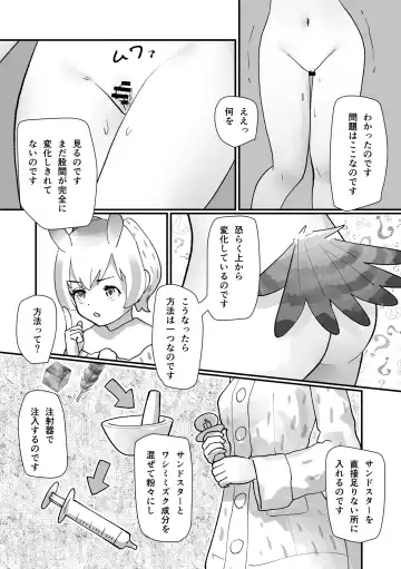 [Mepikari - Welt] Boku mo Friend ~Kimi wa Kaeru Basho~ Kemono Friends TSF Goudou 3 Fhentai - Page 90