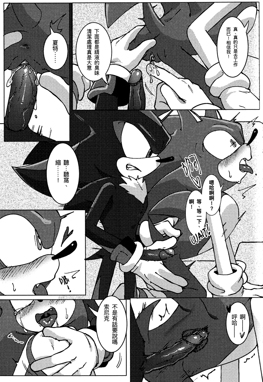 Sonic Ranbou!! (decensored) Fhentai - Page 14