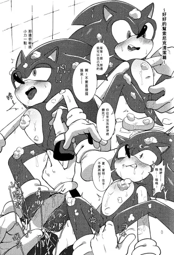 Sonic Ranbou!! (decensored) Fhentai - Page 18