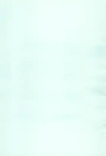 [Shinozuki Kou] Donmai. Fhentai - Page 17