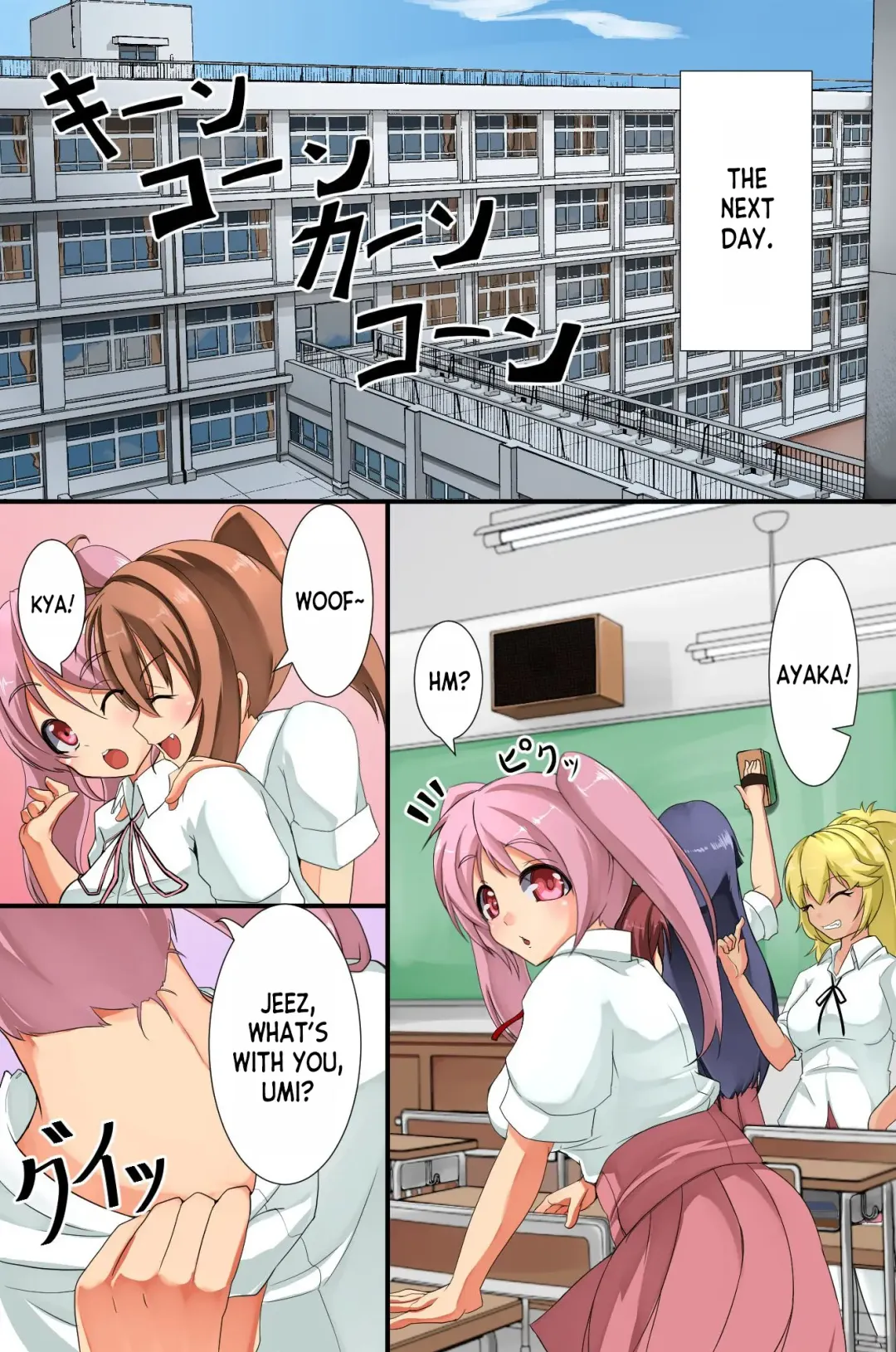 [Amino Dopple] Mesu Inu Harem Fhentai - Page 16
