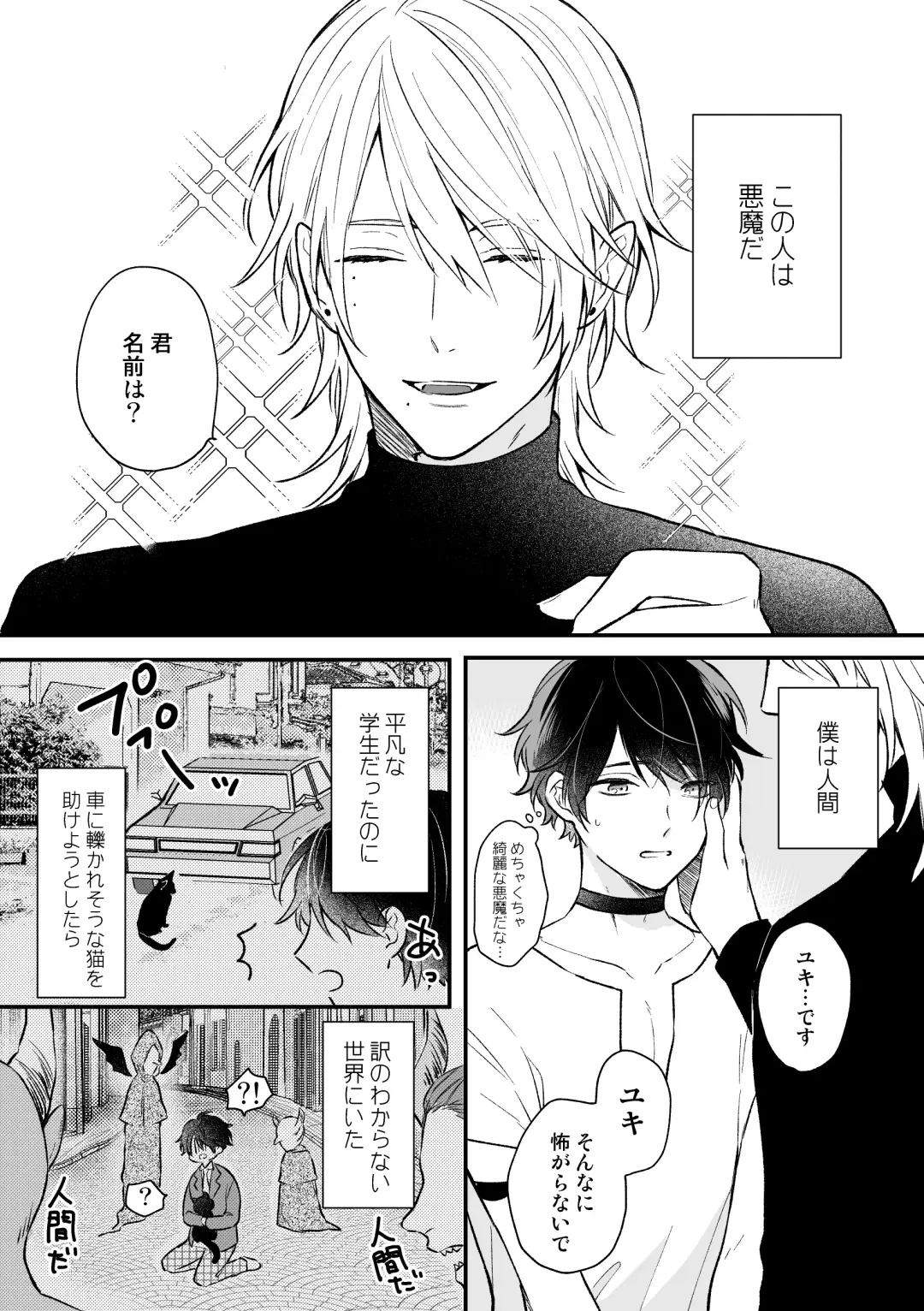 [Niko] Isekai de Akuma ni Kawareteimasu Fhentai - Page 4