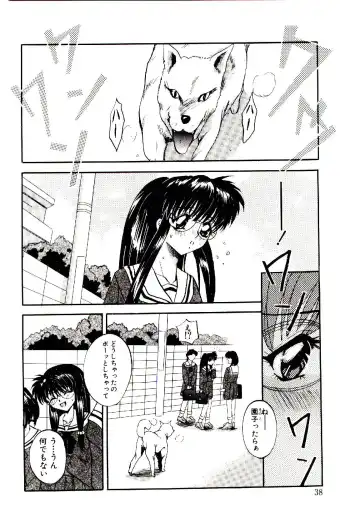 [Arino Hiroshi] Yakou Musume Fhentai - Page 39