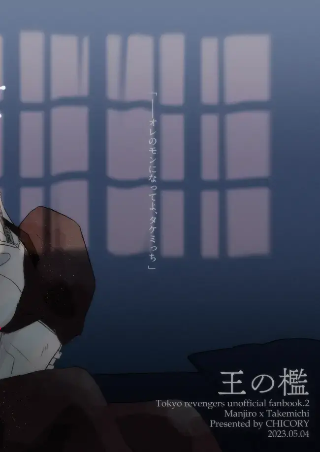 King's Cage Fhentai - Page 20