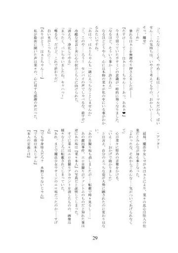 Meruhen ☆ hyōi ~ mahō shōjo usa ￮ n ni hyōi shite yaritaihōdai ~ Fhentai.net - Page 30
