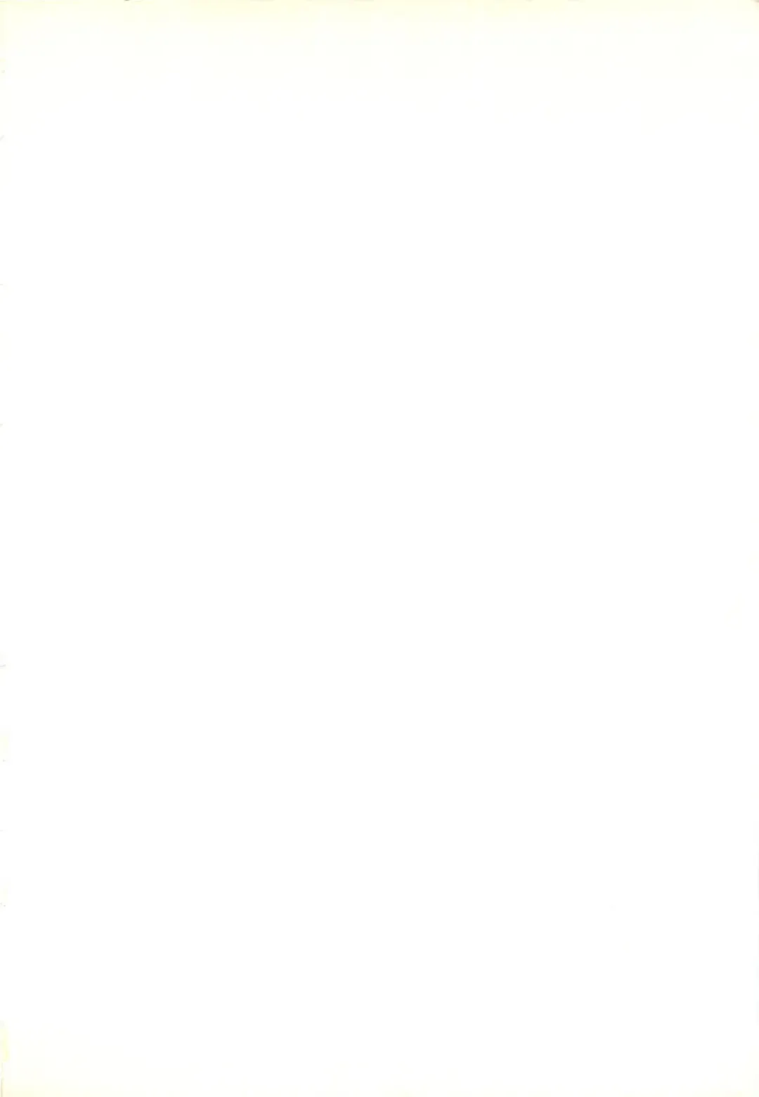 [Tenpuu Mitsunari] Dangan Tenshi Buletiel Kourin-hen Fhentai - Page 3