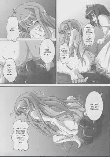 [Kurokishi] ZeroSca!! ~Kougyaku Reijou Louise~ Fhentai - Page 37