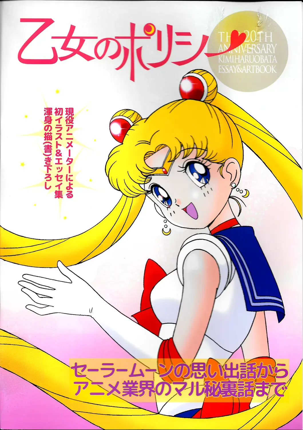 20th Anniversary Essay & Artbook Fhentai - Page 2