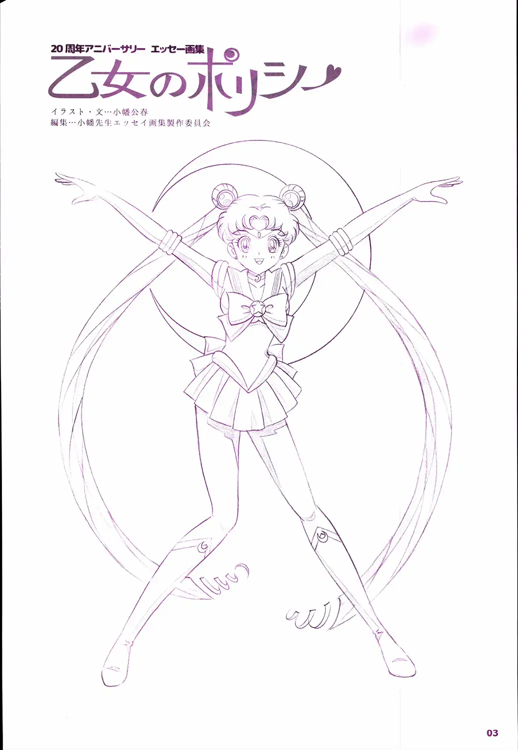 20th Anniversary Essay & Artbook Fhentai - Page 5