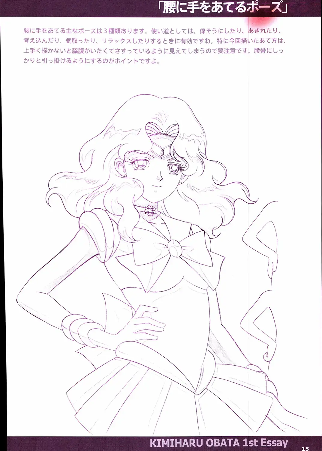 20th Anniversary Essay & Artbook Fhentai - Page 17