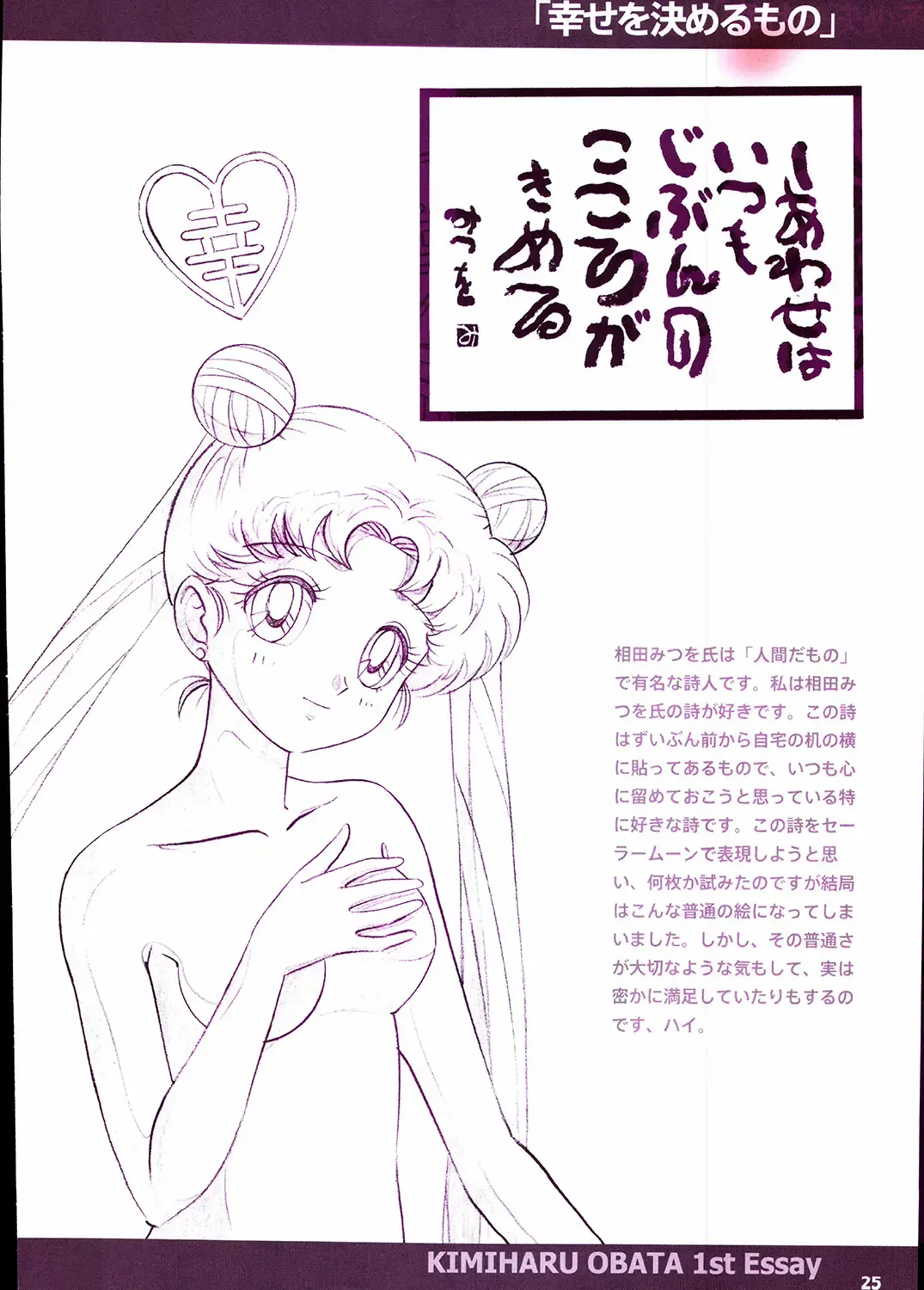20th Anniversary Essay & Artbook Fhentai - Page 27