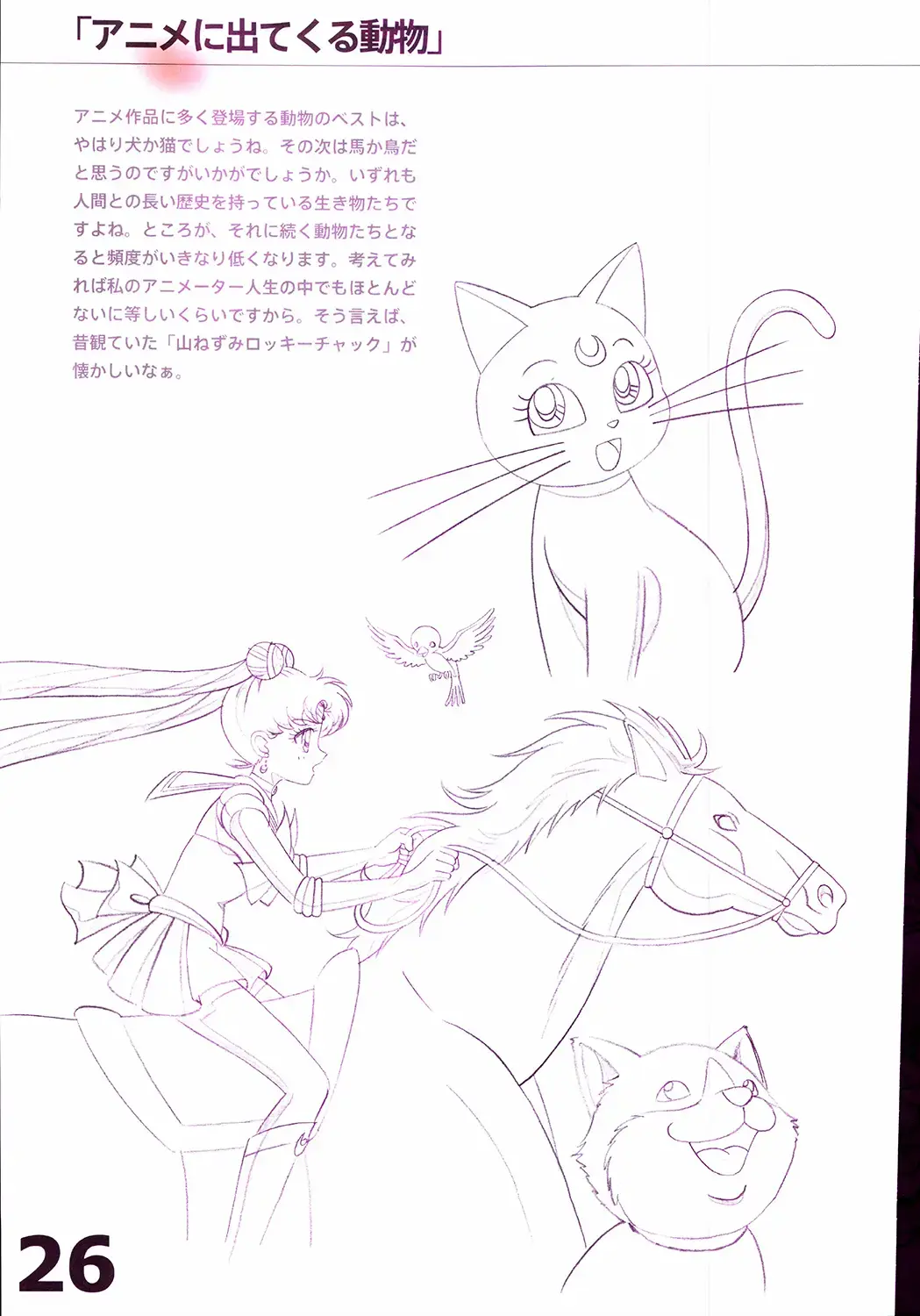 20th Anniversary Essay & Artbook Fhentai - Page 28