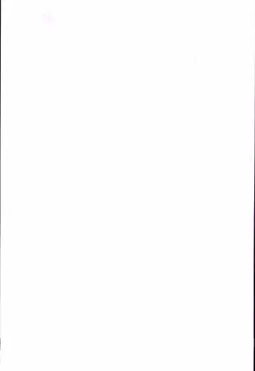 20th Anniversary Essay & Artbook Fhentai - Page 4