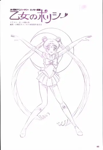 20th Anniversary Essay & Artbook Fhentai - Page 5