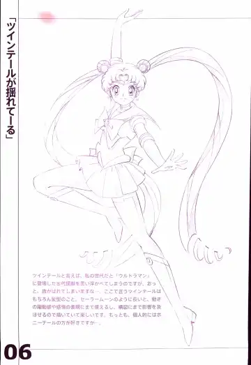 20th Anniversary Essay & Artbook Fhentai - Page 8