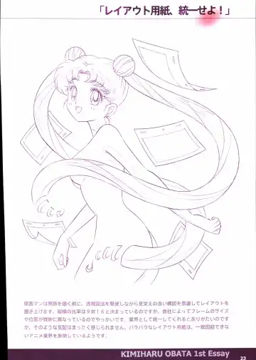 20th Anniversary Essay & Artbook Fhentai - Page 25