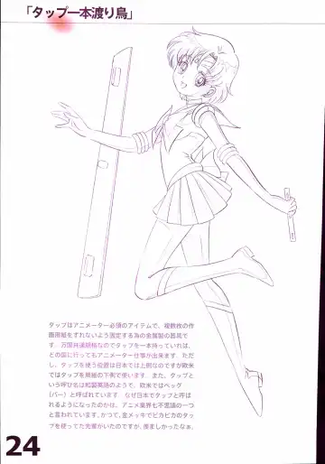 20th Anniversary Essay & Artbook Fhentai - Page 26