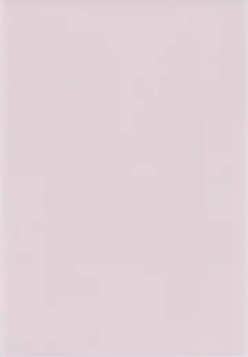 Torawareta Ojou-sama Fhentai - Page 4