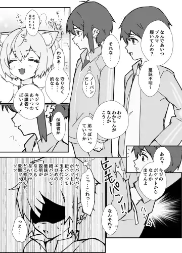 [Ozi8] Uzakute Kawaii Baka de Ecchi na Nekomimi Fhentai - Page 17