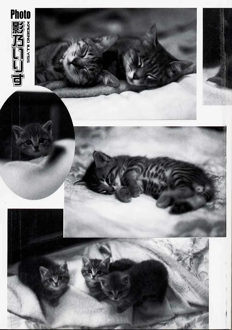 [Kageno Illyss] Usotuki? Fhentai - Page 3