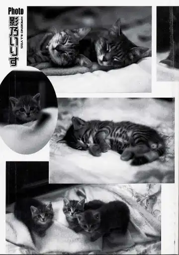 [Kageno Illyss] Usotuki? Fhentai - Page 3