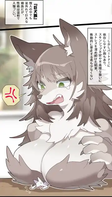 [Ima Att] Giant Furry Girl VORE Fhentai.net - Page 7