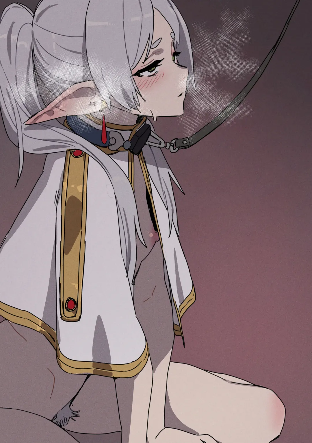 [Luxsumildo] LUXsumildo~被暗算下药成为精神崩坏精灵肉便器的芙莉莲大人！（葬送的芙莉莲同人轮奸H·LC整合汉化组） Fhentai - Page 2