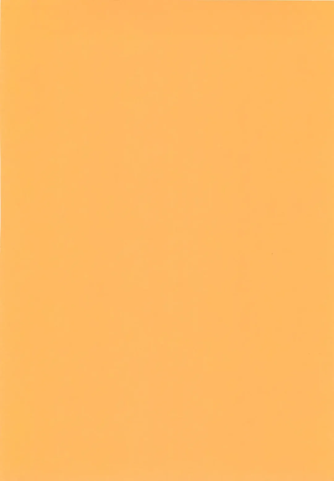 [Tokaidow Micty] Konya wa Dorei DE Night Fhentai - Page 233