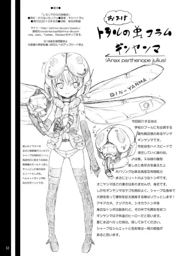 [Kishiri Toworu] Remilia kara no Chousenjou Fhentai - Page 31