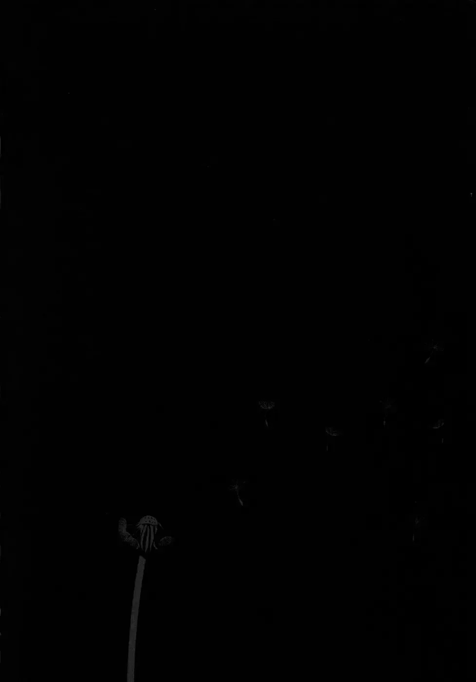 [Machida Hiraku] Yomi no Machi | 黃泉之街 Fhentai - Page 118