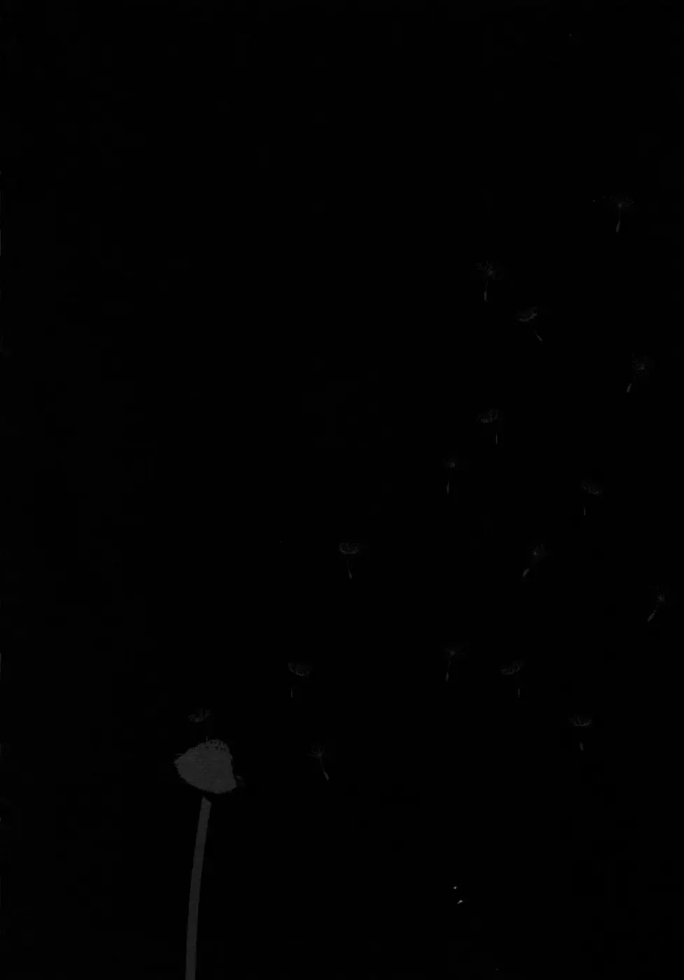 [Machida Hiraku] Yomi no Machi | 黃泉之街 Fhentai - Page 96