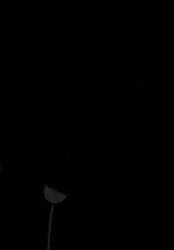 [Machida Hiraku] Yomi no Machi | 黃泉之街 Fhentai - Page 72