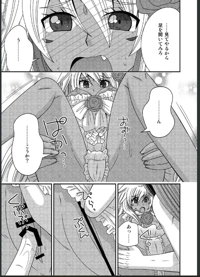 [Naruse] 女体化した勇者様が魔王の嫁になるまで Fhentai.net - Page 13