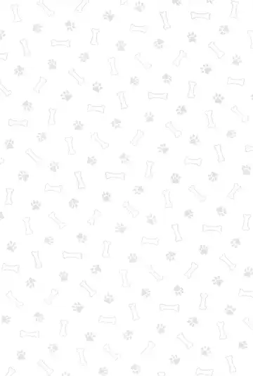 kawaiiinunoshitsukekata Fhentai - Page 3