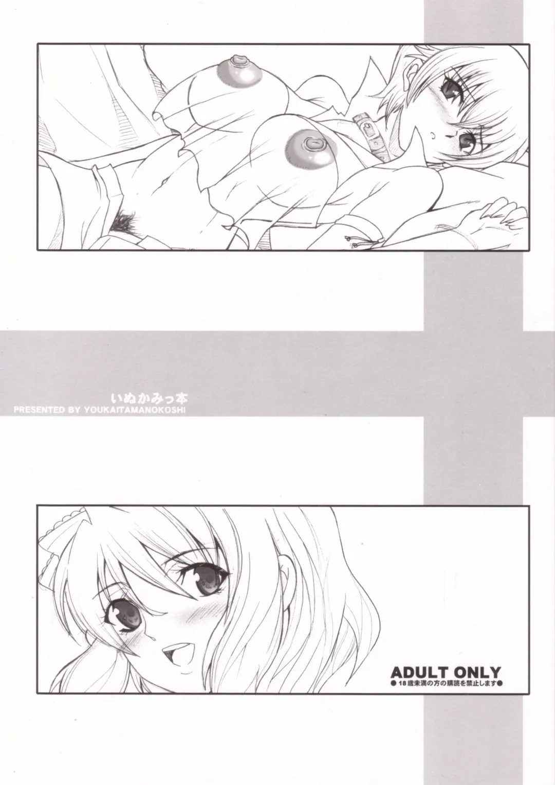 [Chiro] Inukamitu bon Fhentai - Page 1