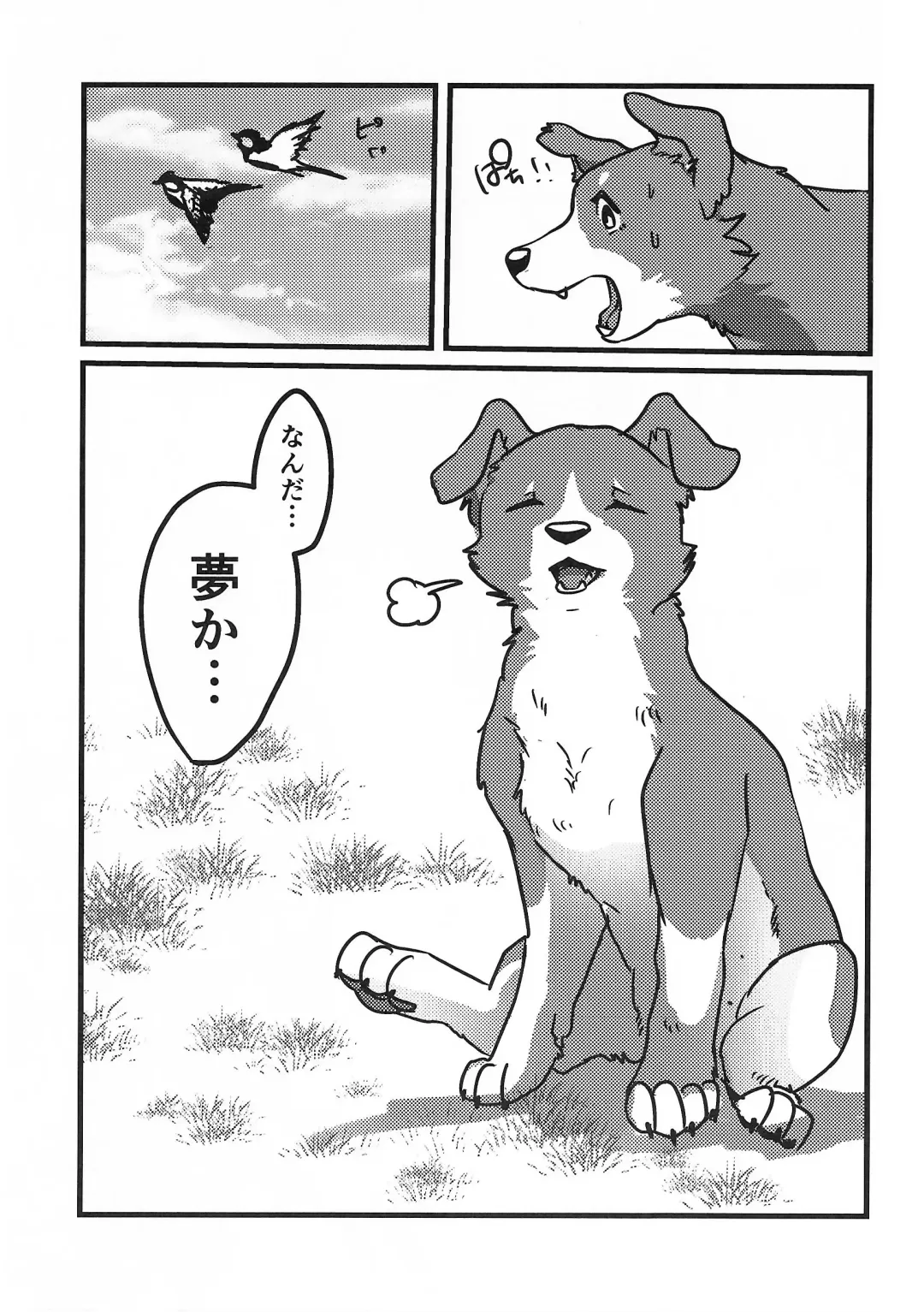 [Momou] DOG.IN.CAGE The best in corn Fhentai - Page 10