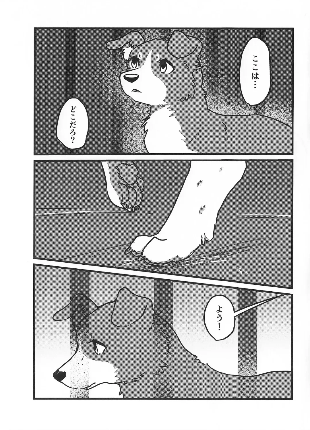 [Momou] DOG.IN.CAGE The best in corn Fhentai - Page 2