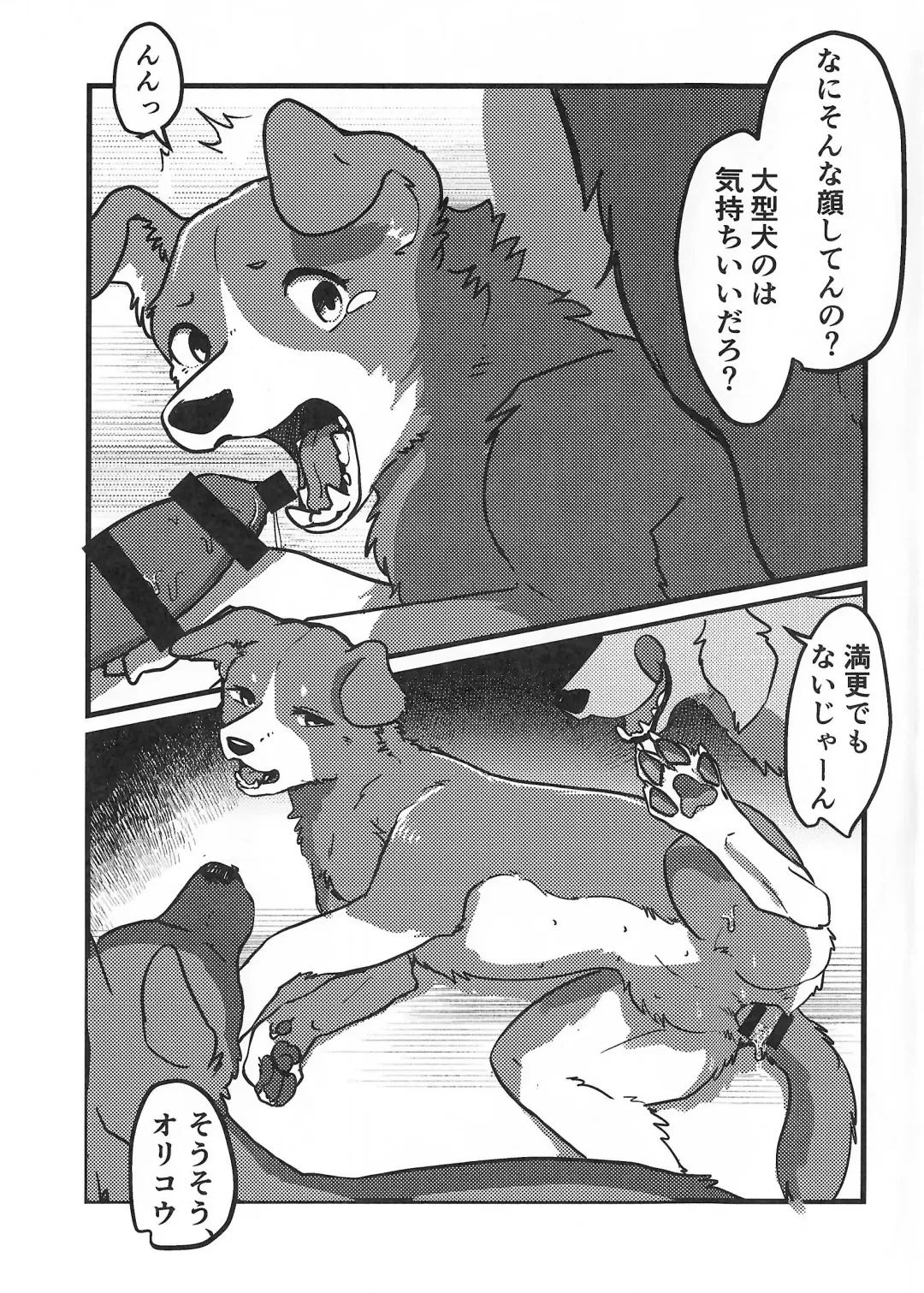 [Momou] DOG.IN.CAGE The best in corn Fhentai - Page 6