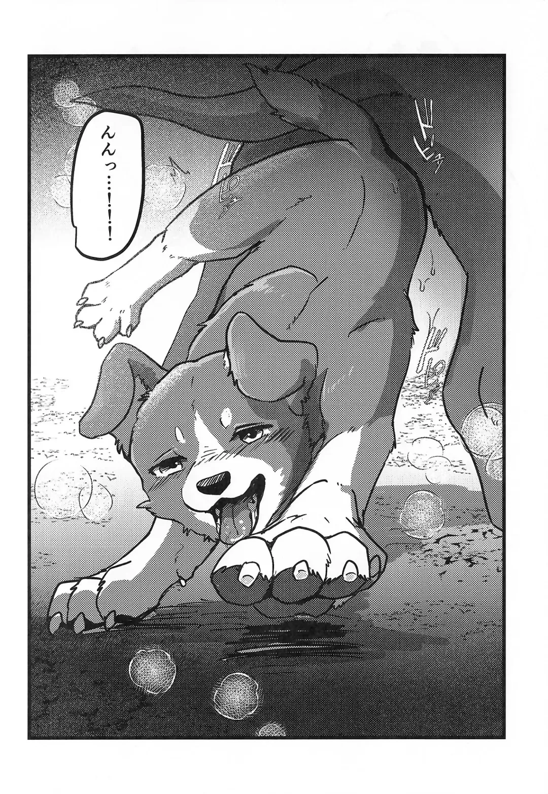 [Momou] DOG.IN.CAGE The best in corn Fhentai - Page 9