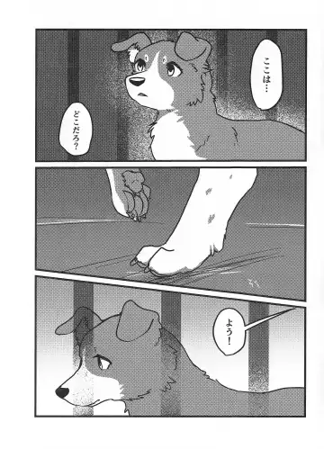 [Momou] DOG.IN.CAGE The best in corn Fhentai.net - Page 2