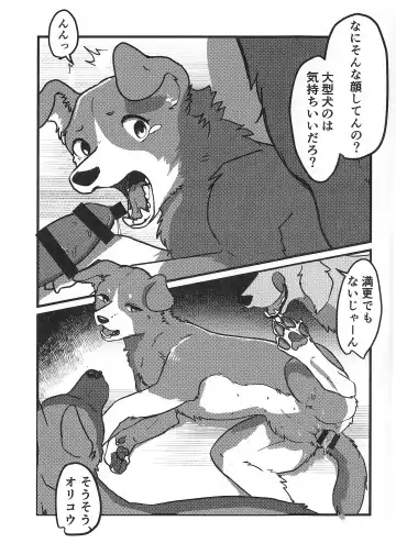 [Momou] DOG.IN.CAGE The best in corn Fhentai.net - Page 6