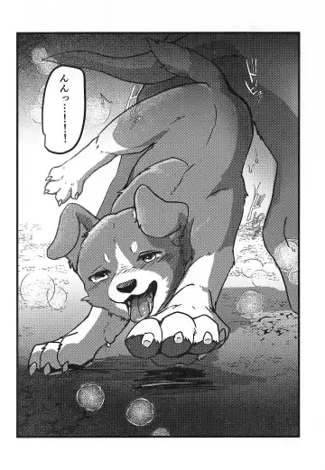 [Momou] DOG.IN.CAGE The best in corn Fhentai.net - Page 9