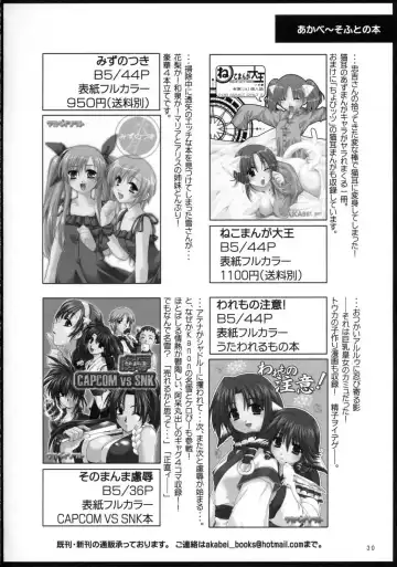 [Alpha] Soukoku no Kiseki Fhentai - Page 29